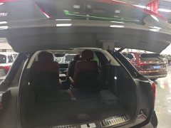 FAW Hongqi E-HS9 2021 Qixiang Edition 6-Seater 460km - ფოტო 19