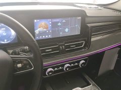 FAW Red Flag HS5 2.0T AWD Flagship Pro - ფოტო 9