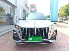Hongqi HS5 2023 2.0T four-wheel drive flag collar Pro version - ფოტო 3