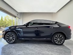 BMW X6 xDrive30i M Sport Package - ფოტო 8