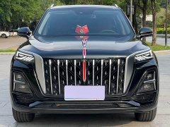 Hongqi HS5 2025 2.0T two-wheel drive Qixiang Pro version - photo 2