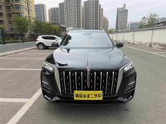 Hongqi HS5 2023 2.0T four-wheel drive Qixiang Pro version - photo 2
