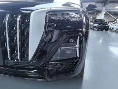 Hongqi HS5 2025 2.0T two-wheel drive Qiyue Pro version - фото 13