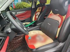 Changan CS75 2023 Enjoy Edition 1.5T DCT Premium Edition - ფოტო 8