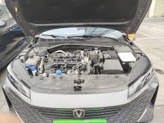 Changan Yida Blue Whale NE 1.5T GDI DCT Comfort Edition - ფოტო 16