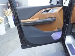 Hongqi HQ9 PHEV 2024 2.0T AWD Business Edition - ფოტო 12