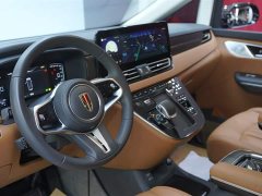 Hongqi HQ9 PHEV 2024 2.0T AWD Business Edition - ფოტო 13