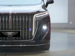 Hongqi HQ9 PHEV 2024 2.0T AWD Business Edition - ფოტო 4