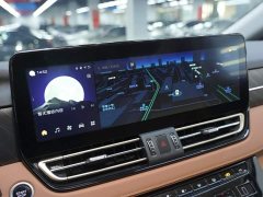 Hongqi HQ9 PHEV 2024 2.0T AWD Business Edition - ფოტო 8