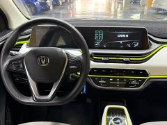 Changan Benben E-Star 2020 Xinyue Edition LFP (31.95 kWh) - ფოტო 15