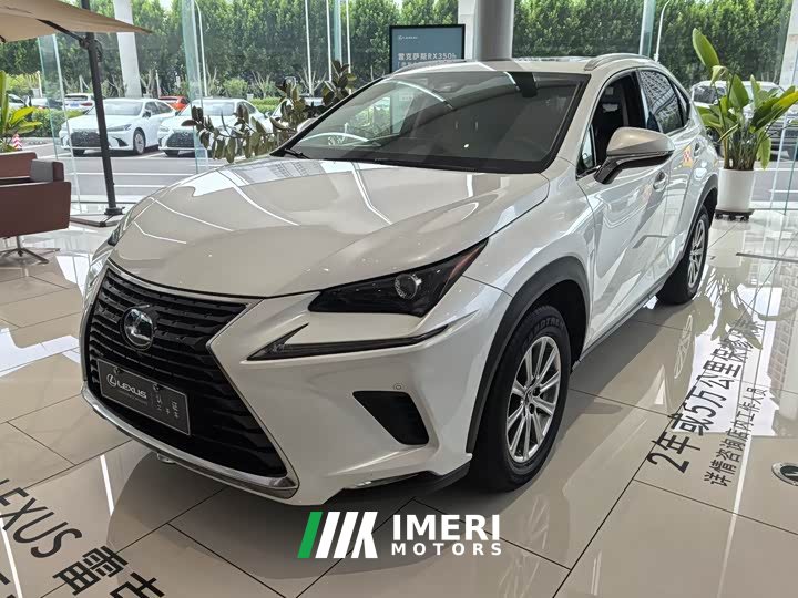 Lexus NX 2020 200 AWD Fengshang Edition National VI - ავტომობილი ჩინეთიდან