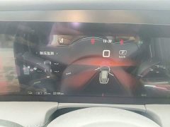 Hongqi E-HS9 2021 Qixian Edition 6-Seater - ფოტო 12