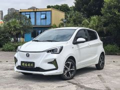 Changan Benben E-Star 2020 Heartbeat Edition ternary lithium - ფოტო 1