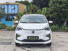 Changan Benben E-Star 2020 Heartbeat Edition ternary lithium - ფოტო 2