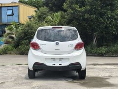 Changan Benben E-Star 2020 Heartbeat Edition ternary lithium - ფოტო 5