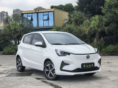 Changan Benben E-Star 2020 Heartbeat Edition ternary lithium - ფოტო 8