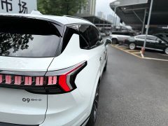 Lynk & Co 09 EM-P 2021 2.0T PHEV Halo six seats - фото 19