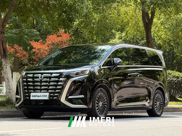 Denza D9 DM-i 970 four-wheel drive flagship