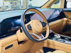 Voyah Dream PHEV Extended Range Luxury Edition - ფოტო 11