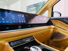 Voyah Dream PHEV Extended Range Luxury Edition - ფოტო 8