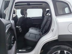 Haval Big Dog 2021 1.5T DCT two-wheel drive Border Collie version - фото 15