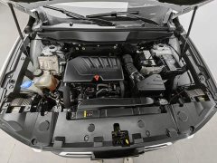 Haval Big Dog 2021 1.5T DCT two-wheel drive Border Collie version - фото 6