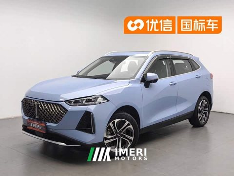 2022 Macchiato DHT-PHEV 2021 1.5L Special Edition - ავტომობილი ჩინეთიდან