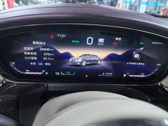 Hongqi Golden Sunflower Guoya 2024 4.0T V8 version - ფოტო 3