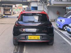 smart elf #1 2022 BRABUS performance version - ფოტო 12