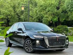 Hongqi H5 2025 2.0T automatic Qichang version - ფოტო 1
