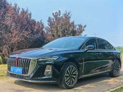 Hongqi H5 2025 2.0T automatic Qichang version - ფოტო 1