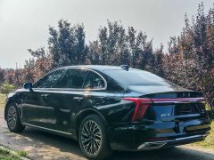 Hongqi H5 2025 2.0T automatic Qichang version - ფოტო 9