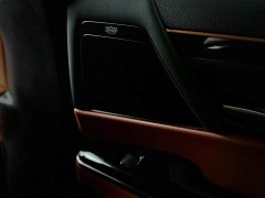 Lexus LX 2025 700h VIP Edition - ფოტო 10