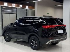 Haval H6 2021 Guochao Edition 1.5T Automatic Urban Edition - ფოტო 19