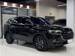 Haval H6 2021 Guochao Edition 1.5T Automatic Urban Edition - ფოტო 3