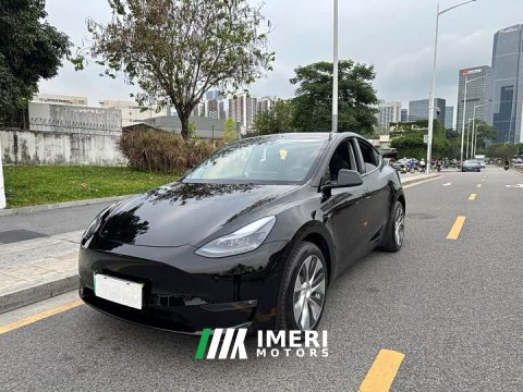 2021 Tesla Model Y Long Range All-Wheel Drive 3D7 - ავტომობილი ჩინეთიდან