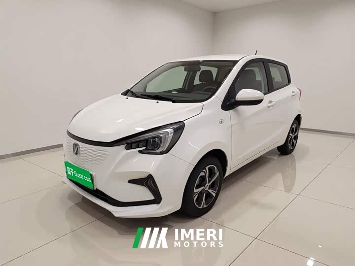 Changan Benben E-Star 2020 Heartbeat Edition ternary lithium - ავტომობილი ჩინეთიდან