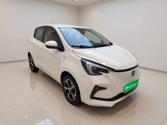 Changan Benben E-Star 2020 Heartbeat Edition ternary lithium - ფოტო 3
