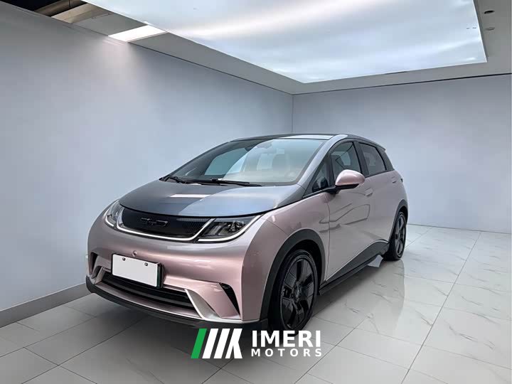 BYD Dolphin 2021 401km Knight Edition
