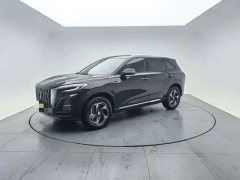 Hongqi HS3 2024 1.5T Shanwei Edition - ფოტო 1