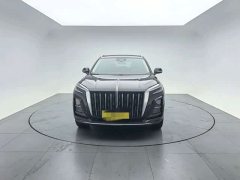 Hongqi HS3 2024 1.5T Shanwei Edition - ფოტო 2