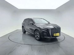 Hongqi HS3 2024 1.5T Shanwei Edition - ფოტო 3