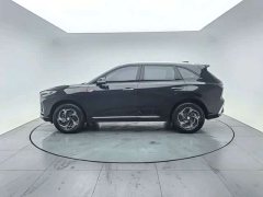 Hongqi HS3 2024 1.5T Shanwei Edition - ფოტო 9
