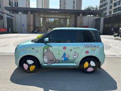 Changan Benben E-Star 2022 Qingxin Edition Colorful Edition Lithium Iron Phosphate - ფოტო 3