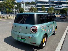 Changan Benben E-Star 2022 Qingxin Edition Colorful Edition Lithium Iron Phosphate - ფოტო 5