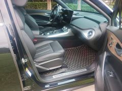 Denza X 2020 PHEV Classic Edition - ფოტო 16