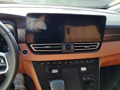 Hongqi HQ9 PHEV 2024 2.0T AWD Business Edition - photo 13