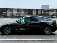 Tesla Model 3 2022 Rear-Wheel Drive - ფოტო 11