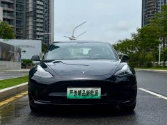 Tesla Model 3 2022 Rear-Wheel Drive - ფოტო 2