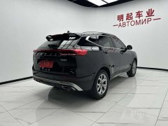Haval H6 2021 Guochao Edition 1.5T Automatic Champion Edition - ფოტო 9